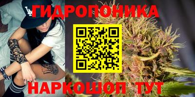 скорость Будённовск
