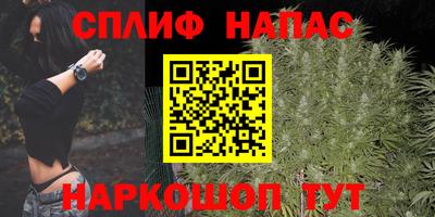 скорость Будённовск